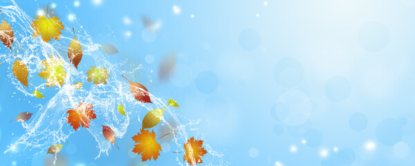 Obraz na płótnie Canvas autumn leaves water fresh