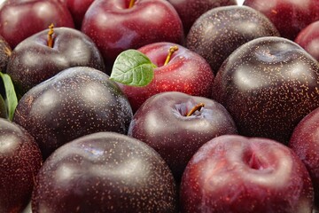 Assorted ripe purple-red plums of different varieties, background