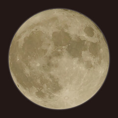 満月 ベクター イラスト