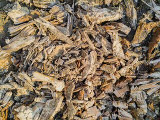 Organic wooden surface with old timber sawdust chips