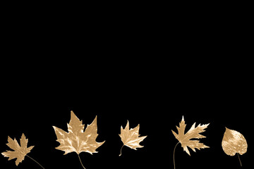 Background of autumn composition from shiny golden leaves isolated on black background. Fashionable holiday concept. Flat lay.