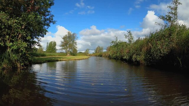 Nature scenery at the Weerribben-Wieden National Park in Overijssel the Netherlands, quiver and tree