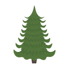 Cute green Christmas tree. Christmas tree without decorations. The Christmas tree. A large coniferous tree. Vector illustration isolated on a white background