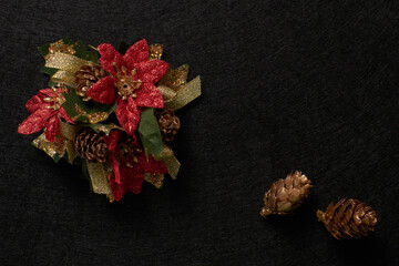 Christmas flowers and two pine cones, background