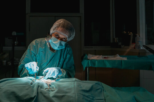 Veterinary surgeon with tweezers operating anonymous patient in clinic