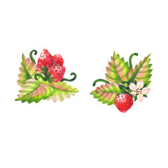 two-composition-of-berries-red-strawberry
