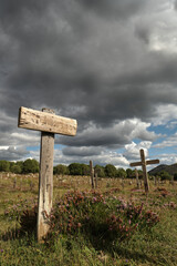 The graveyard of the movie 