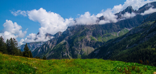 Naklejka na ściany i meble Landscape of the Alps in Switzerland in summer
