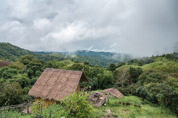 Fototapeta na wymiar Wooden thatched hut resort on hill among mountain in tropical rainforest
