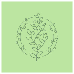 decorative flowers and leaves line illustration vector