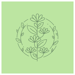 decorative flowers and leaves line illustration vector