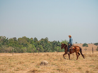 Cowboy is riding his horse on a cattle farm with very dry land