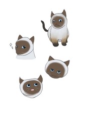 set of handsome cats