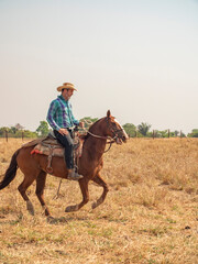 Cowboy is riding his horse on a cattle farm with very dry land