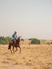 Cowboy is riding his horse on a cattle farm with very dry land