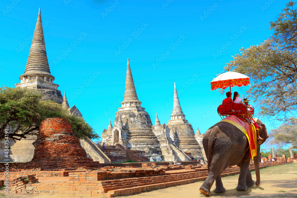 Wall mural elephant for tourists on an ride tour of the ancient city at ayutthaya thailand