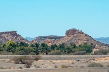 Negev Arava Desert scene with mountains and palms trees in southern Israel
