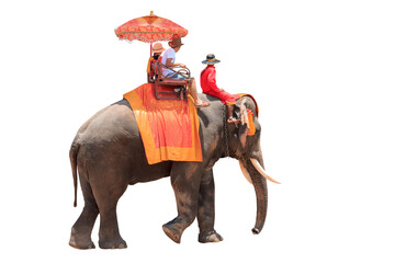 Tourists on an ride elephant tour of the ancient city isolated on white background with clipping path