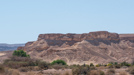 Negev Arava Desert scene with mountains and palms trees in southern Israel
