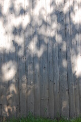 Natural wall of old unpainted wooden plank boards with glare of light. Wooden gray boards aged by time background for the photo area