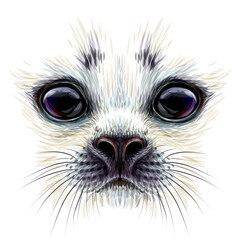 A baby seal. Creative design. Graphic, color portrait of a baby seal close-up in watercolor style on a white background. Digital vector graphics.
