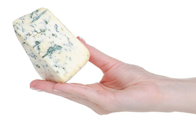 Delicious blue cheese in hand on white background isolation