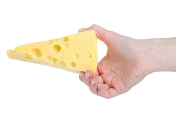 Cheese with holes in hand on white background isolation