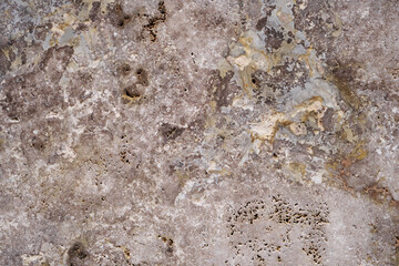 Travertine texture close up
