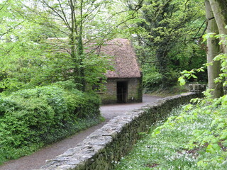 Fototapeta na wymiar Le Kerry bog village et sa comté en Irlande, chemin de terre, buisson bien taillé, civilisation ancienne et historique, maison avec toit en chaume et en pailles. 