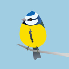 
A very cute blue titbird in the shape of an egg. Blue background