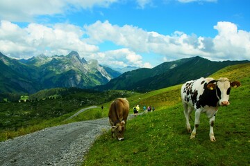Fototapeta na wymiar Austrian Alps - view of tourists on the way to lake Körbersee in the Lechtal Alps