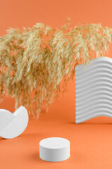 Beauty cosmetic showcase with geometric shapes and a sprig of reeds. Round podium for presentation of natural stone products and cosmetics. Empty showcase for packaging.