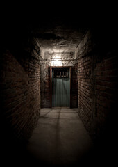 Fototapeta na wymiar Dark brick hallway leading to a spooky wooden door.