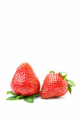 Two strawberries isolated on white background with copy space. Fruit  have high vitamins.