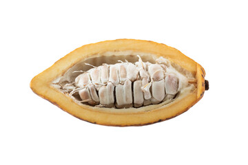 Fresh cocoa fruits isolated on white background