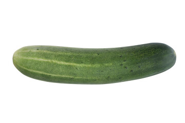 ripe cucumber and Cucumber slice isolated on a white background.