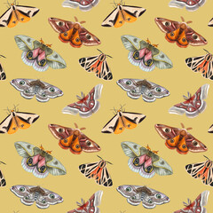 Watercolor seamless pattern with hand drawn butterflies, moth. Beige-yellow background