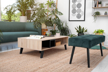 Living room interior with modern furniture and houseplants