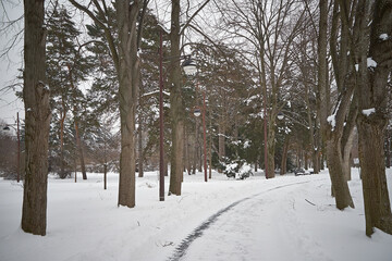 City park covered with snow.