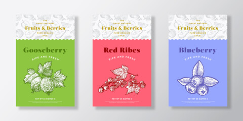 Fruits and Berries Pattern Label Templates Set. Vector Packaging Design Layout Collection. Modern Typography Banner with Hand Drawn Gooseberry, Blueberry and Red-Ribes Sketches Background. Isolated