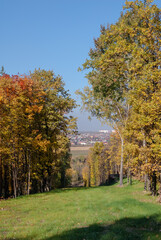 Golden fall. Deciduous forest in Central Russia