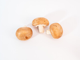 Champignon mushrooms on a white background.