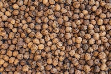 Mass quantity of walnuts dry fruit