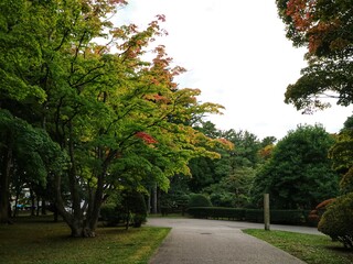 紅葉と遊歩道