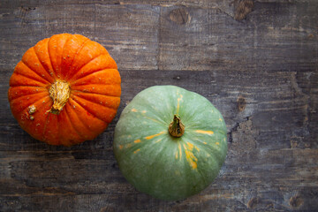 Bright fresh round-shaped pumpkins