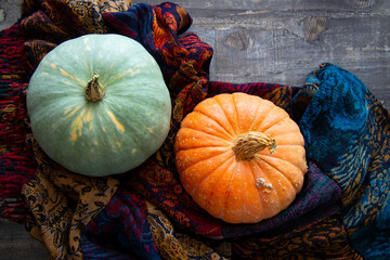 Bright fresh round-shaped pumpkins