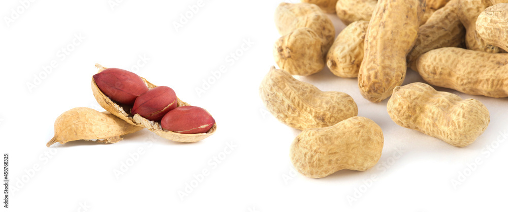 Wall mural Nuts in shell and peeled isolated on white background.