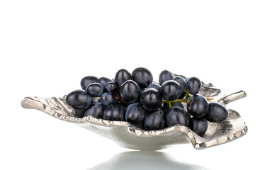 One bunch of sweet black grapes in a metal vase, close-up, isolated on white.