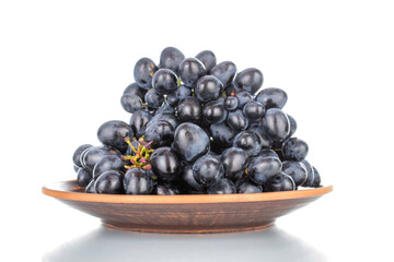 One bunch of sweet black grapes in an earthenware pot, close-up, isolated on white.