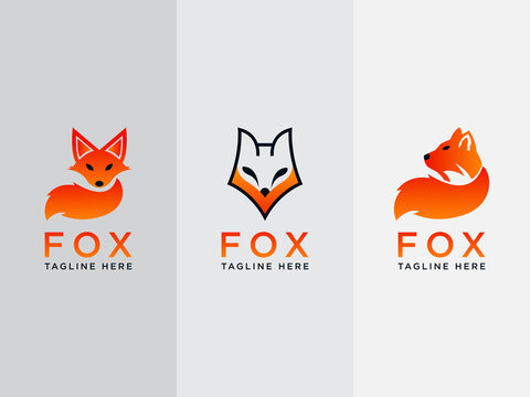 Animal fox Set logo icon design template flat vector